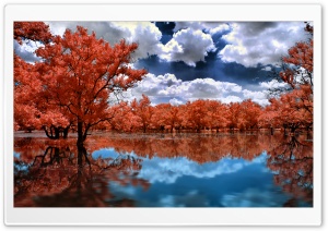 Between Red and Water Ultra HD Wallpaper for 4K UHD Widescreen desktop, tablet & smartphone