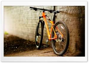 Bicycle Ultra HD Wallpaper for 4K UHD Widescreen desktop, tablet & smartphone