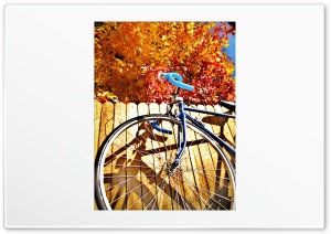 Bicycle Fall Leaves Ultra HD Wallpaper for 4K UHD Widescreen desktop, tablet & smartphone