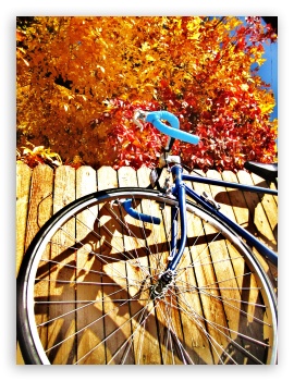 Bicycle Fall