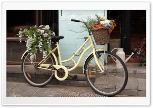 Bicycle street photography Ultra HD Wallpaper for 4K UHD Widescreen desktop, tablet & smartphone