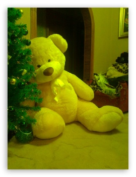 big teddy bear images hd