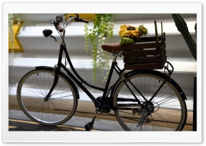 Bike Ultra HD Wallpaper for 4K UHD Widescreen desktop, tablet & smartphone