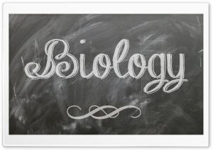 Biology Ultra HD Wallpaper for 4K UHD Widescreen desktop, tablet & smartphone