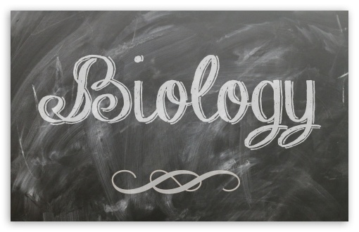 Biology UltraHD Wallpaper for Wide 16:10 5:3 Widescreen WHXGA WQXGA WUXGA WXGA WGA ; 8K UHD TV 16:9 Ultra High Definition 2160p 1440p 1080p 900p 720p ; Standard 4:3 5:4 3:2 Fullscreen UXGA XGA SVGA QSXGA SXGA DVGA HVGA HQVGA ( Apple PowerBook G4 iPhone 4 3G 3GS iPod Touch ) ; iPad 1/2/Mini ; Mobile 4:3 5:3 3:2 16:9 5:4 - UXGA XGA SVGA WGA DVGA HVGA HQVGA ( Apple PowerBook G4 iPhone 4 3G 3GS iPod Touch ) 2160p 1440p 1080p 900p 720p QSXGA SXGA ; Dual 16:10 5:3 16:9 4:3 5:4 WHXGA WQXGA WUXGA WXGA WGA 2160p 1440p 1080p 900p 720p UXGA XGA SVGA QSXGA SXGA ;