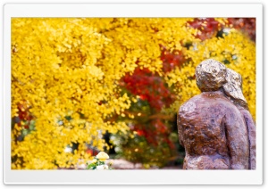 Birmingham Botanical Gardens Fall Ultra HD Wallpaper for 4K UHD Widescreen desktop, tablet & smartphone