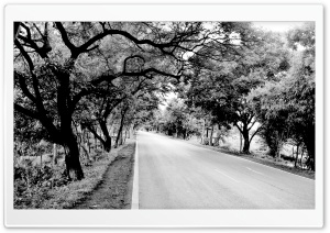 Black and White Road Ultra HD Wallpaper for 4K UHD Widescreen desktop, tablet & smartphone
