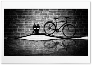 black Cat Ultra HD Wallpaper for 4K UHD Widescreen desktop, tablet & smartphone