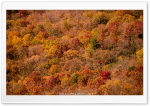 Black Rock Mountain State Park Ultra HD Wallpaper for 4K UHD Widescreen desktop, tablet & smartphone