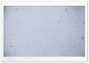 Black Snow Ultra HD Wallpaper for 4K UHD Widescreen desktop, tablet & smartphone
