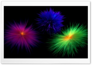 BlackFlower Ultra HD Wallpaper for 4K UHD Widescreen desktop, tablet & smartphone