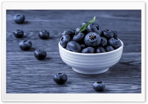 Blue Berry Ultra HD Wallpaper for 4K UHD Widescreen desktop, tablet & smartphone