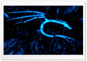 blue Kali dragon Ultra HD Wallpaper for 4K UHD Widescreen desktop, tablet & smartphone