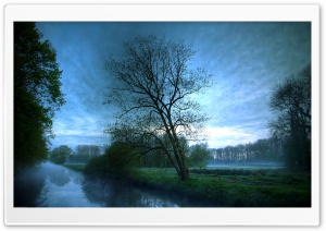 Blue Morning Ultra HD Wallpaper for 4K UHD Widescreen desktop, tablet & smartphone