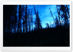 Blue Night Ultra HD Wallpaper for 4K UHD Widescreen desktop, tablet & smartphone