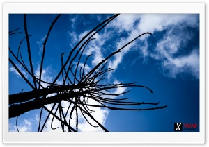 Blue sky Ultra HD Wallpaper for 4K UHD Widescreen desktop, tablet & smartphone