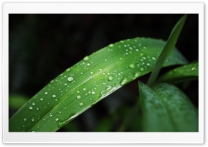 Blur Ultra HD Wallpaper for 4K UHD Widescreen desktop, tablet & smartphone