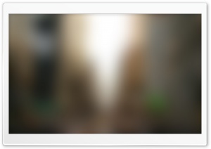 Blurry Background I Ultra HD Wallpaper for 4K UHD Widescreen desktop, tablet & smartphone