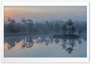 Bog, Morning Mist, Estonia, Water, Reflection, Trees Ultra HD Wallpaper for 4K UHD Widescreen desktop, tablet & smartphone