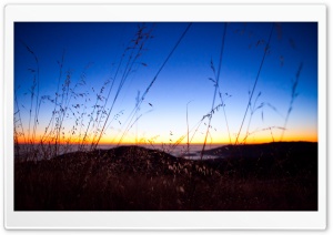 Bokeh Sunset Ultra HD Wallpaper for 4K UHD Widescreen desktop, tablet & smartphone