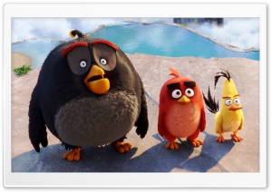 Bomb, Red, Chuck - Angry Birds Ultra HD Wallpaper for 4K UHD Widescreen desktop, tablet & smartphone