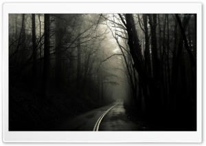 bosque negro Ultra HD Wallpaper for 4K UHD Widescreen desktop, tablet & smartphone