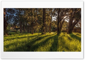 Botanics Secret Garden Ultra HD Wallpaper for 4K UHD Widescreen desktop, tablet & smartphone