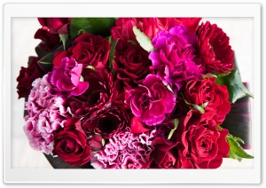 Bouquet Ultra HD Wallpaper for 4K UHD Widescreen desktop, tablet & smartphone