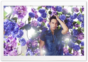 Boy over flowers Ultra HD Wallpaper for 4K UHD Widescreen desktop, tablet & smartphone