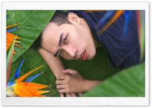 Boy over flowers Ultra HD Wallpaper for 4K UHD Widescreen desktop, tablet & smartphone