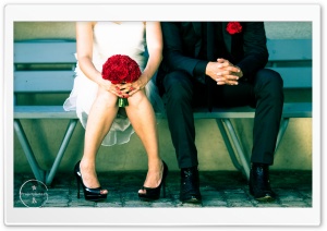 Bride and Groom Ultra HD Wallpaper for 4K UHD Widescreen desktop, tablet & smartphone