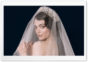 Bride Veil Ultra HD Wallpaper for 4K UHD Widescreen desktop, tablet & smartphone