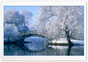 Bridge in winter forest Ultra HD Wallpaper for 4K UHD Widescreen desktop, tablet & smartphone