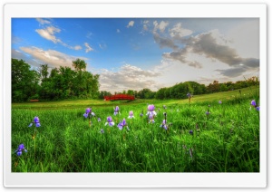 Bridge Meadow Flowers Ultra HD Wallpaper for 4K UHD Widescreen desktop, tablet & smartphone
