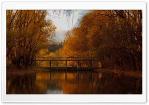 Bridge, Nature, Autumn Ultra HD Wallpaper for 4K UHD Widescreen desktop, tablet & smartphone