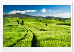 Bright Tuscany Ultra HD Wallpaper for 4K UHD Widescreen desktop, tablet & smartphone