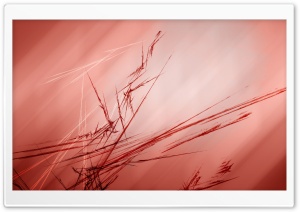 Brown - Red Ultra HD Wallpaper for 4K UHD Widescreen desktop, tablet & smartphone