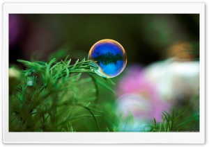 Bubble floating near grass Ultra HD Wallpaper for 4K UHD Widescreen desktop, tablet & smartphone