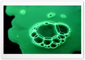 Bubbles Green Ultra HD Wallpaper for 4K UHD Widescreen desktop, tablet & smartphone