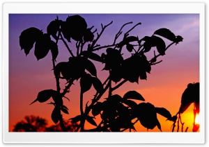 Burning Sunrise Ultra HD Wallpaper for 4K UHD Widescreen desktop, tablet & smartphone
