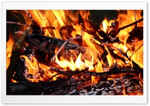 Burning Wood Ultra HD Wallpaper for 4K UHD Widescreen desktop, tablet & smartphone