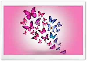 Butterflies Ultra HD Wallpaper for 4K UHD Widescreen desktop, tablet & smartphone