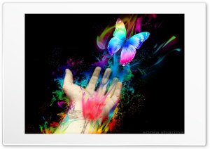 butterfly Ultra HD Wallpaper for 4K UHD Widescreen desktop, tablet & smartphone