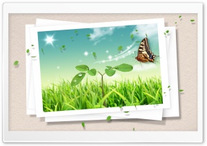 Butterfly Picture Ultra HD Wallpaper for 4K UHD Widescreen desktop, tablet & smartphone