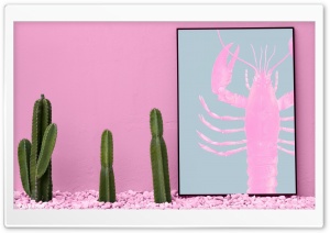 Cactus and Lobster Ultra HD Wallpaper for 4K UHD Widescreen desktop, tablet & smartphone