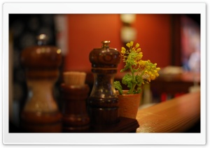 Cafe Ultra HD Wallpaper for 4K UHD Widescreen desktop, tablet & smartphone