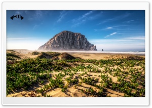 California Ultra HD Wallpaper for 4K UHD Widescreen desktop, tablet & smartphone