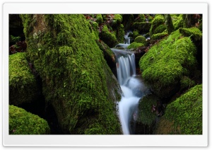 California Rain Ultra HD Wallpaper for 4K UHD Widescreen desktop, tablet & smartphone