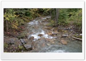 Canadian River Near Banff Springs Ultra HD Wallpaper for 4K UHD Widescreen desktop, tablet & smartphone