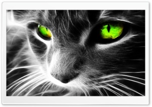 Cat Abstract Eyes  Ultra HD Wallpaper for 4K UHD Widescreen desktop, tablet & smartphone